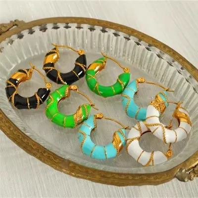 기질 연예인 귀걸이